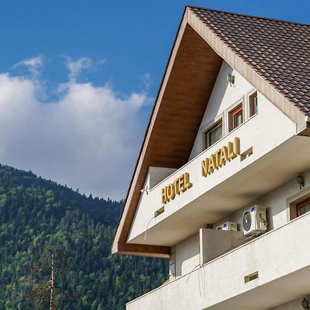 Natali Hotel Borjomi Dış mekan fotoğraf