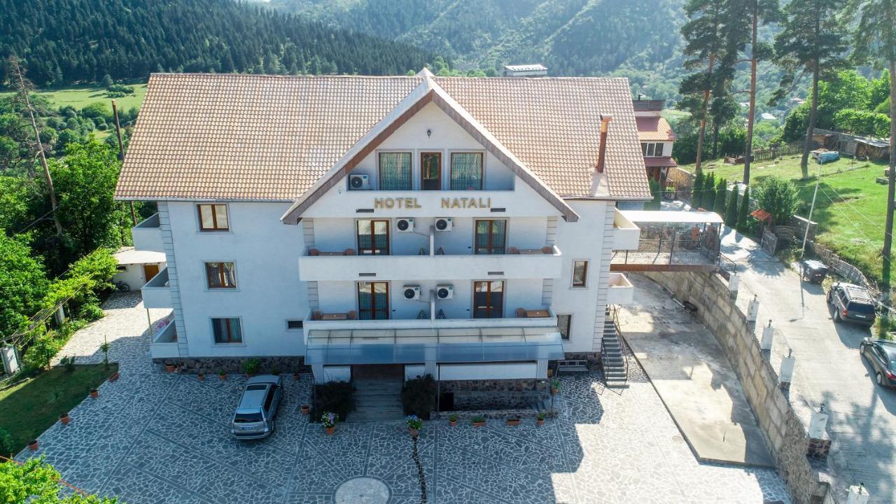 Natali Hotel Borjomi Dış mekan fotoğraf