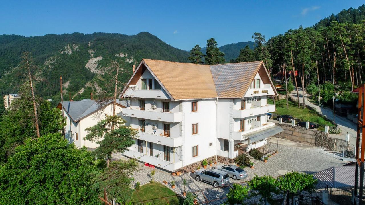 Natali Hotel Borjomi Dış mekan fotoğraf