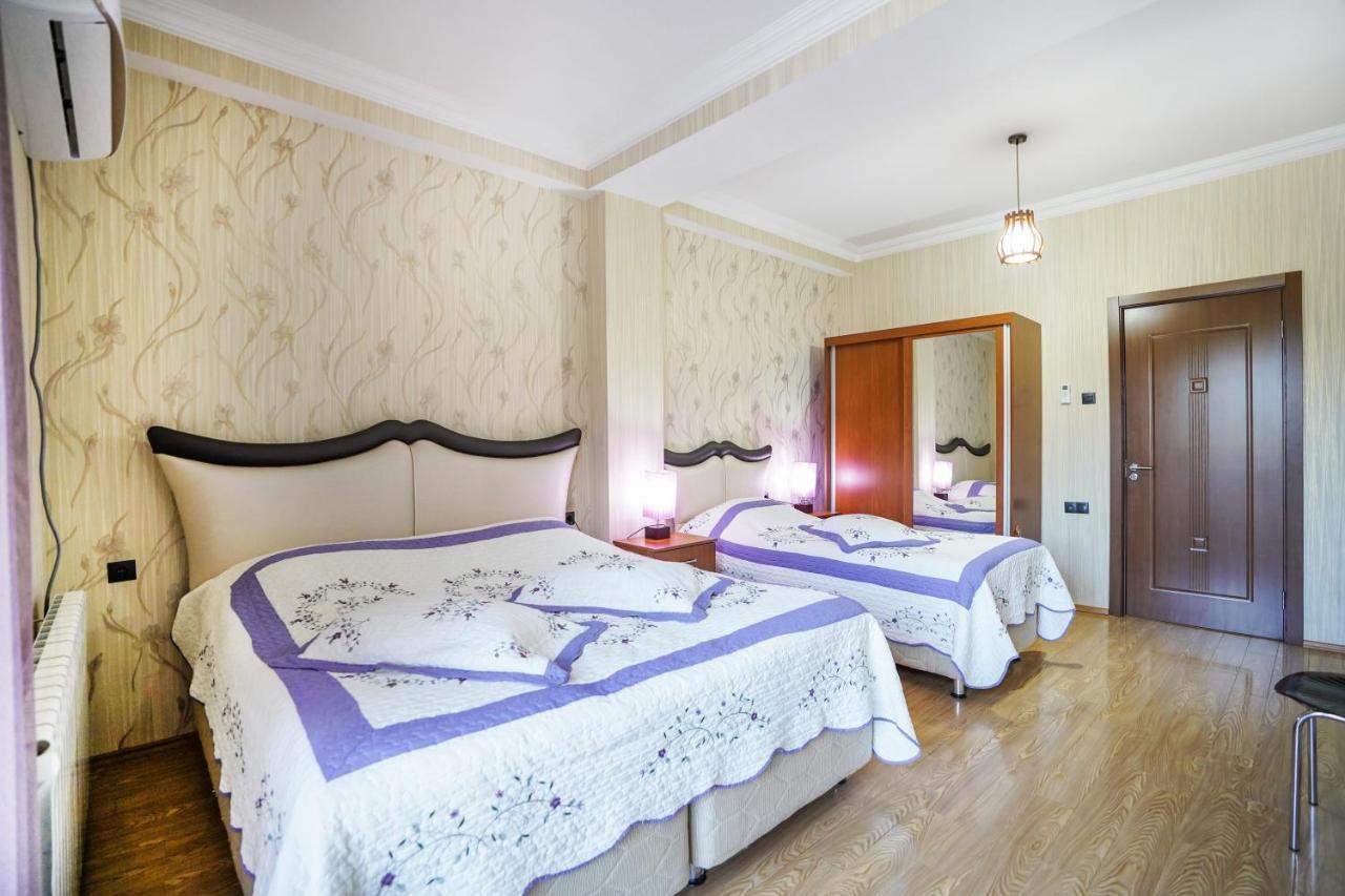 Natali Hotel Borjomi Dış mekan fotoğraf