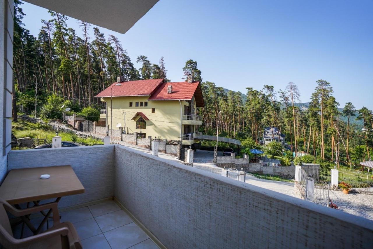 Natali Hotel Borjomi Dış mekan fotoğraf