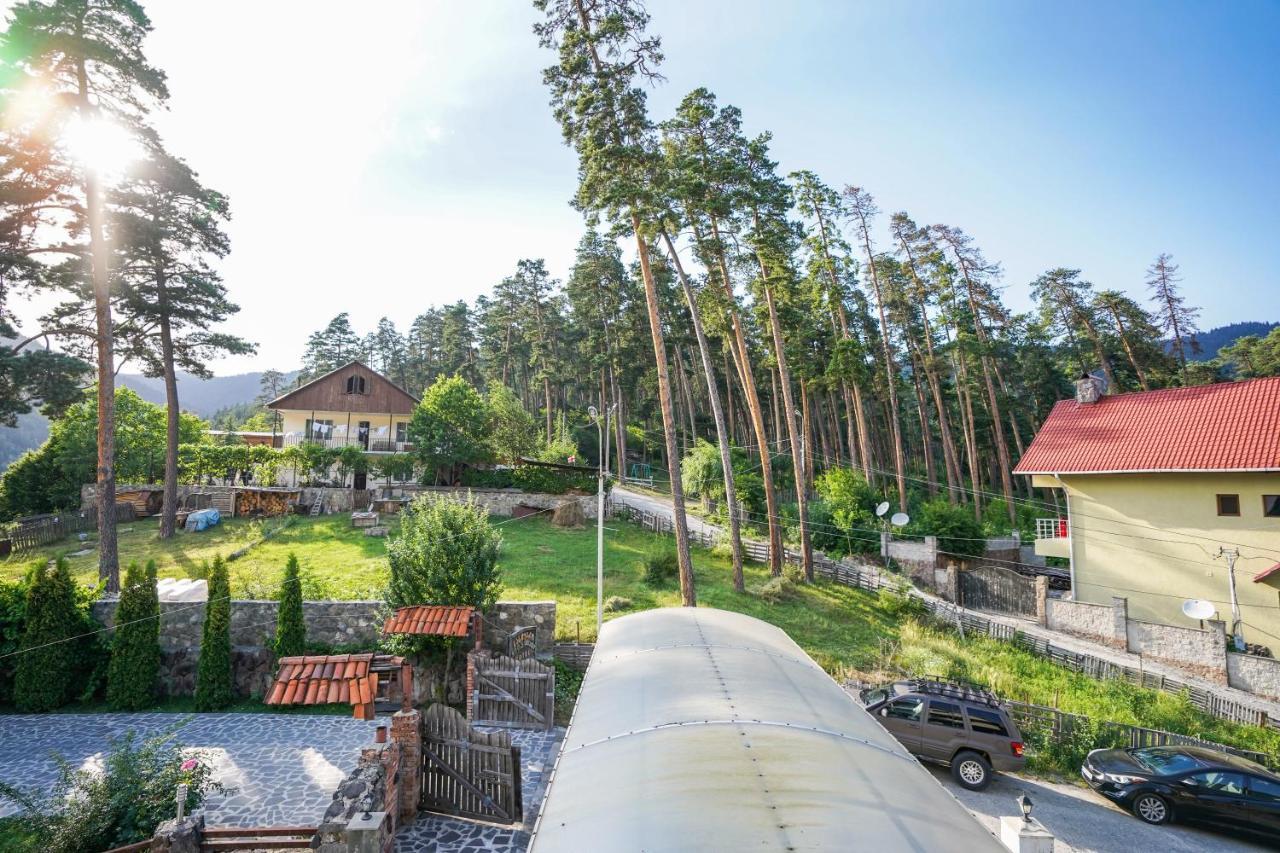 Natali Hotel Borjomi Dış mekan fotoğraf