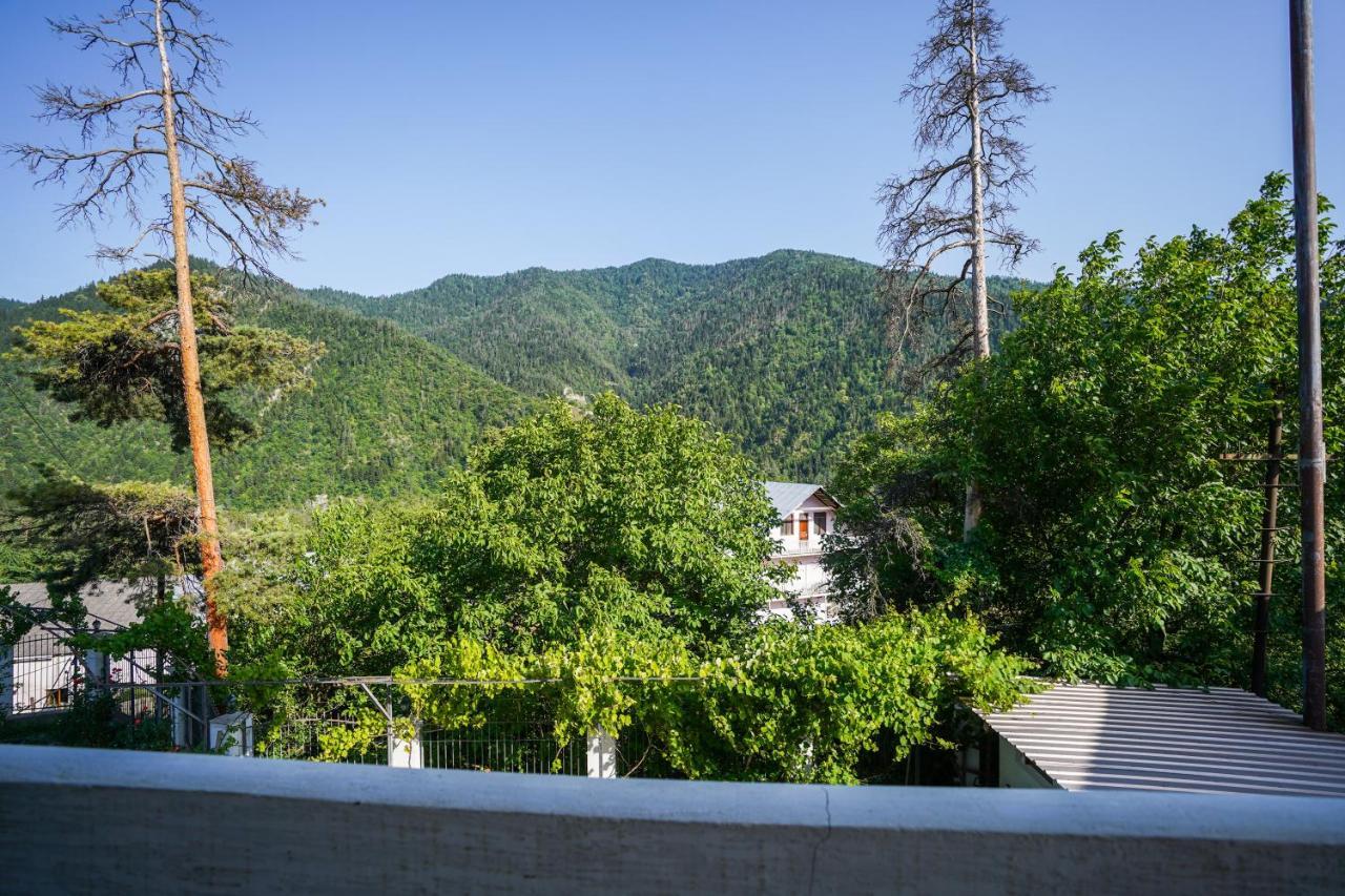 Natali Hotel Borjomi Dış mekan fotoğraf