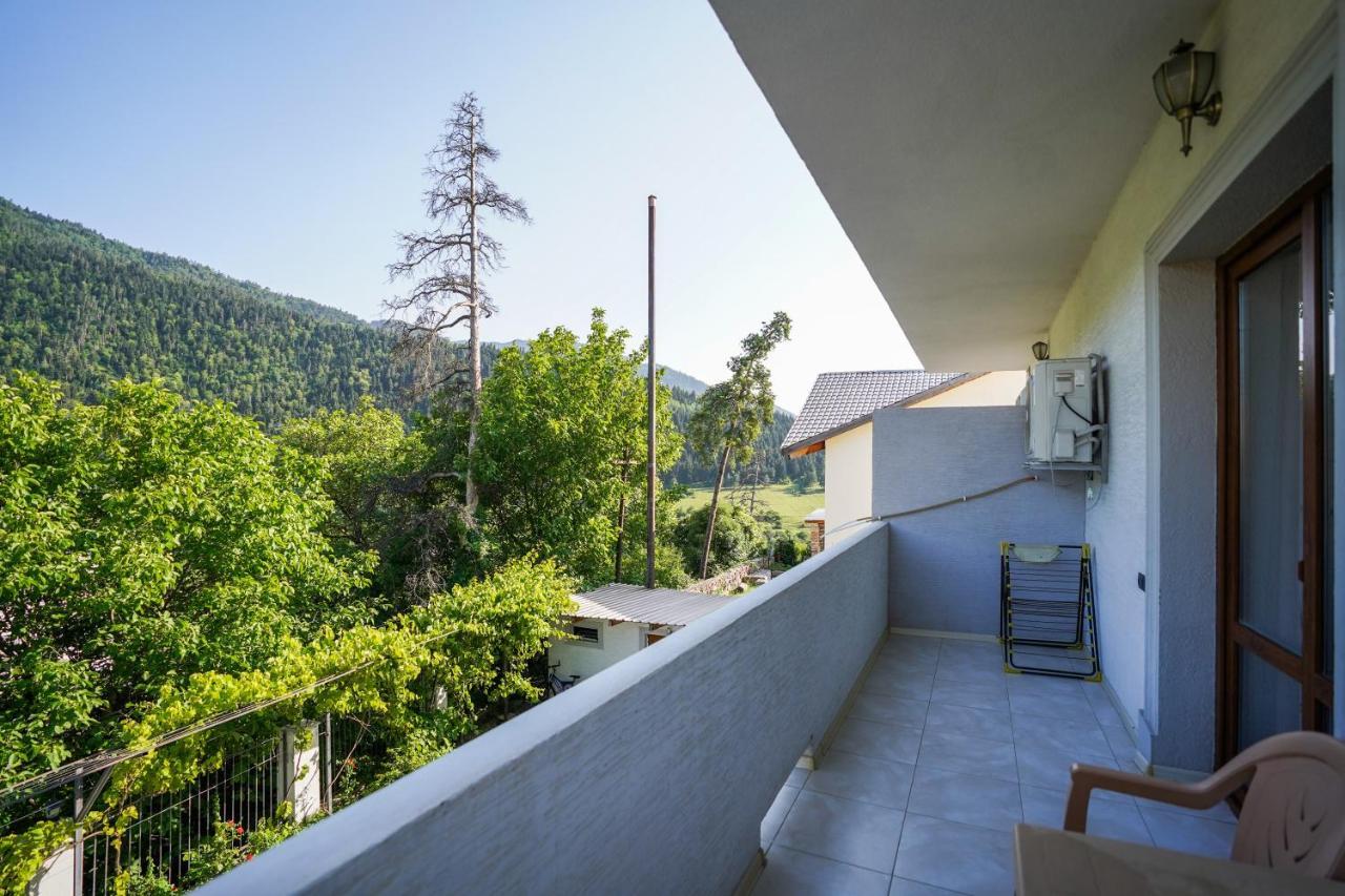 Natali Hotel Borjomi Dış mekan fotoğraf