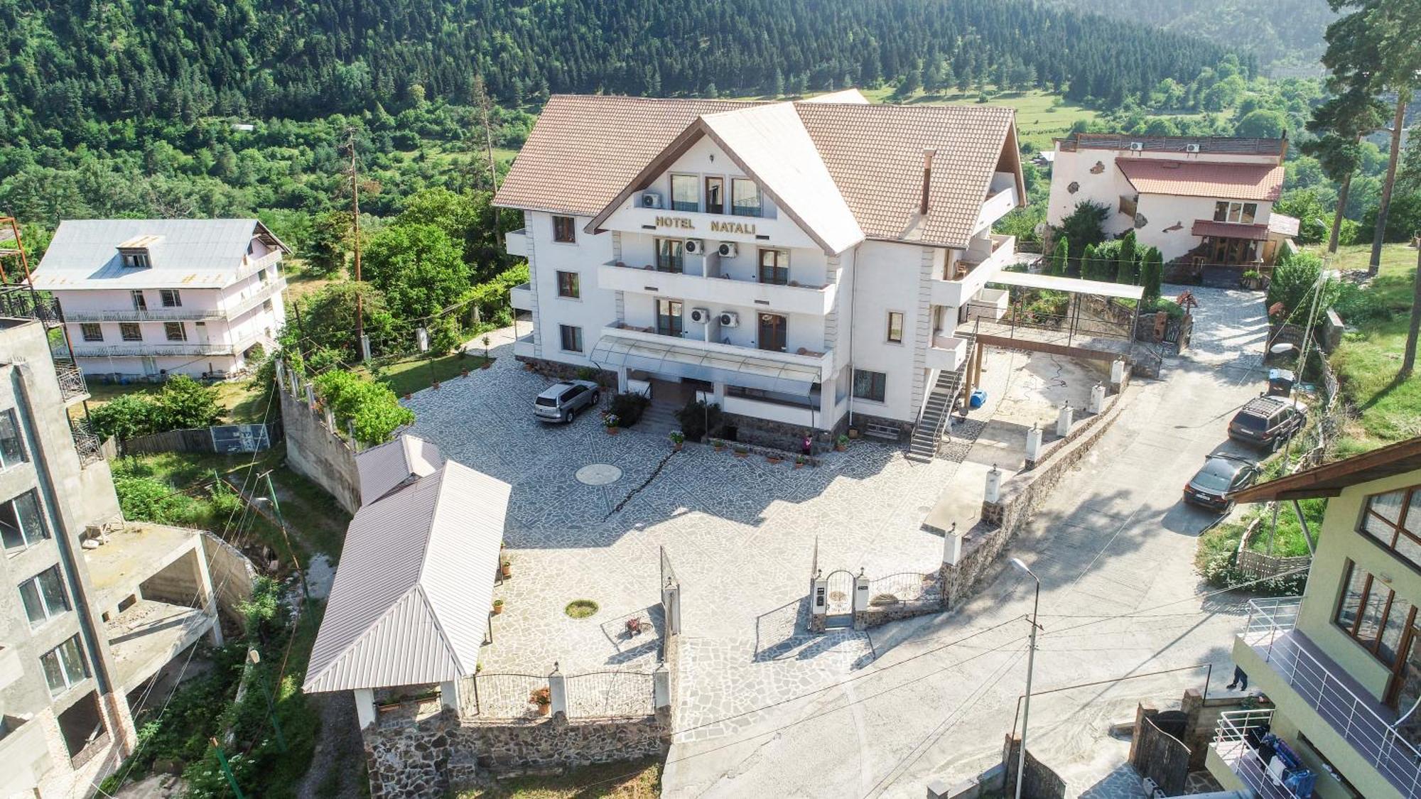 Natali Hotel Borjomi Dış mekan fotoğraf